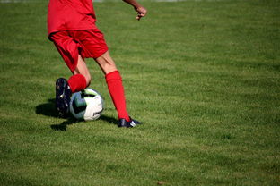 mk体育中国官网-英超青训体系中情绪调节训练对青少年比赛焦虑的控制作用，英超青训球员定义