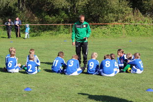 mk体育官网首页-意甲攻守大比拼：速度与战术的融合！，意甲战术强在哪里