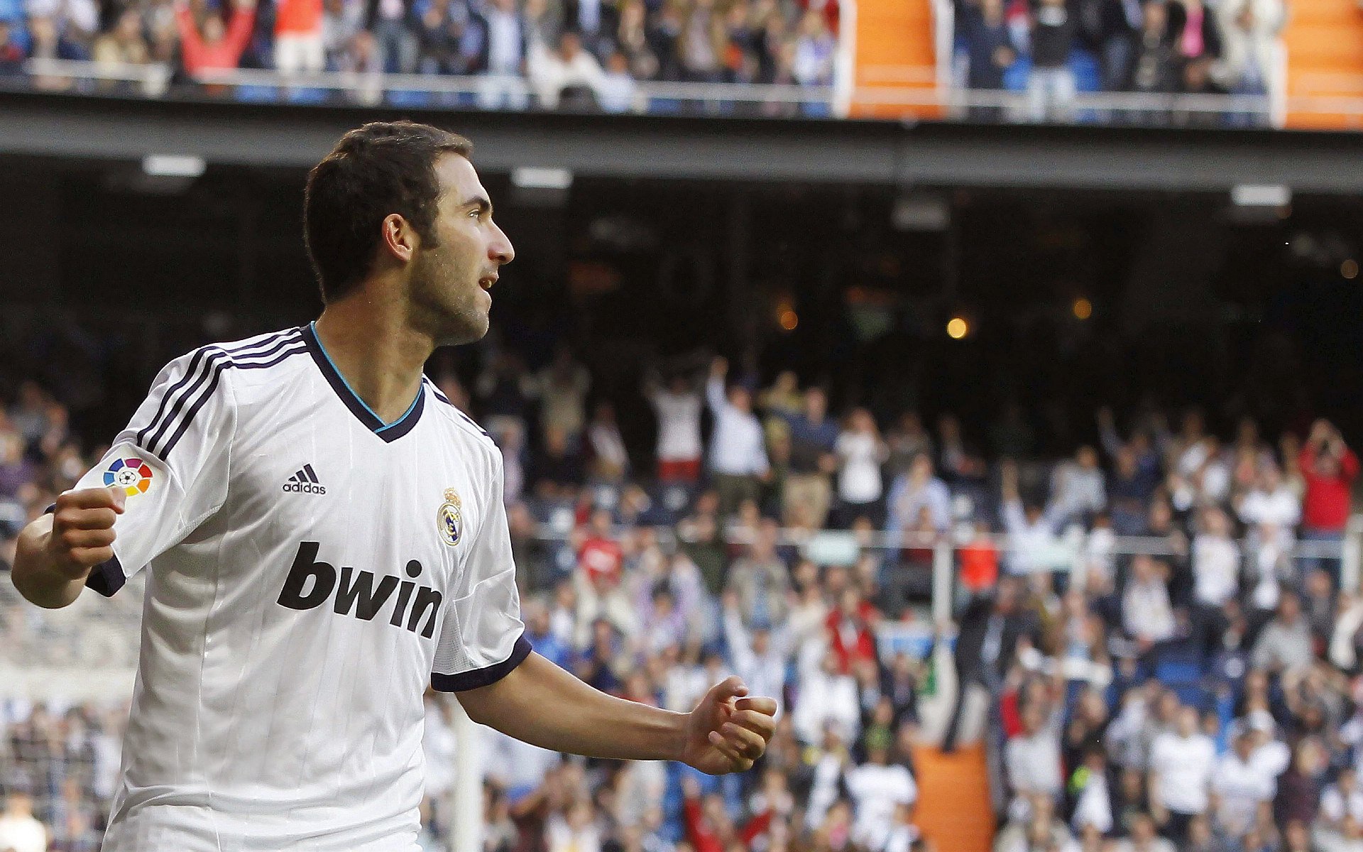 美洲杯激烈角逐:明星闪耀,精彩纷呈!,美洲杯人气