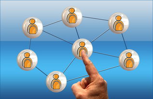 mk体育官网-俱乐部社会责任报告披露 多项公益项目实施中，俱乐部公共物品有哪些